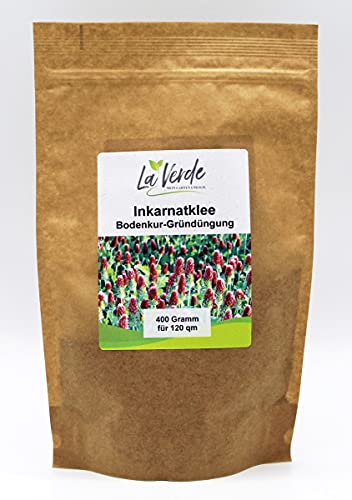 Inkarnatklee 400 Gramm Samen - Bodenkur von La Verde MEIN GARTEN UND ICH.