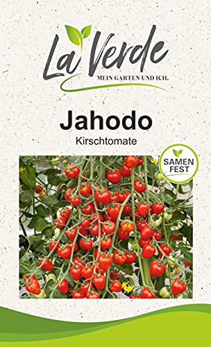 Jahodo Tomatensamen von La Verde MEIN GARTEN UND ICH.