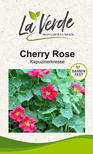 Kapuzinerkresse Cherry Rose Blumensamen von La Verde MEIN GARTEN UND ICH.
