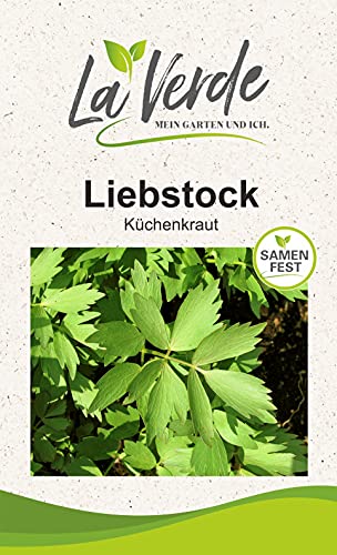 Liebstock Kräutersamen von La Verde MEIN GARTEN UND ICH.