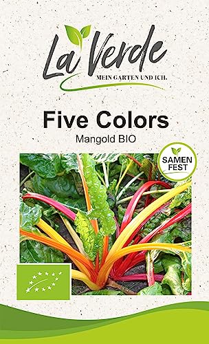 Mangold Five Colors BIO von La Verde MEIN GARTEN UND ICH.