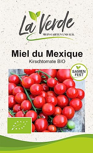 Miel du Mexique BIO Tomatensamen von La Verde MEIN GARTEN UND ICH.