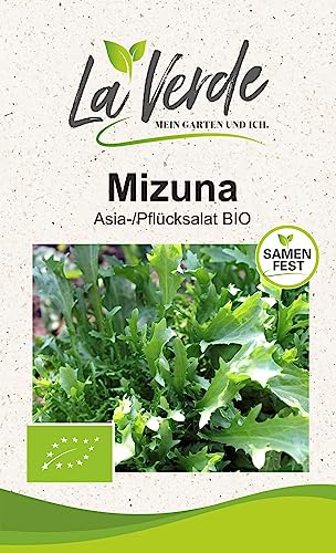 Mizuna BIO Salatsamen von La Verde MEIN GARTEN UND ICH.