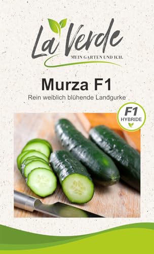 Murza F1 Gurkensamen von La Verde MEIN GARTEN UND ICH.