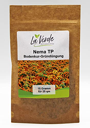 Nema TP 15 Gramm Samen - Bodenkur Orange Nema TP 15 Gramm Samen - Bodenkur Orange von La Verde MEIN GARTEN UND ICH.