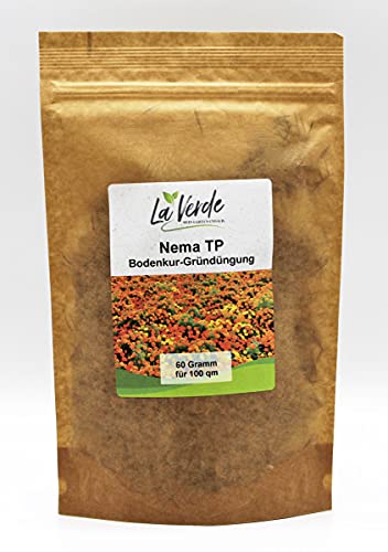 Nema TP 60 Gramm Samen - Bodenkur Orange von La Verde MEIN GARTEN UND ICH.