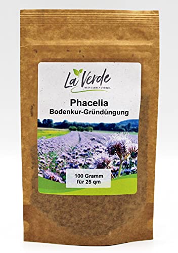 Phacelia 100 Gramm Bodenkur/Samen von La Verde MEIN GARTEN UND ICH.