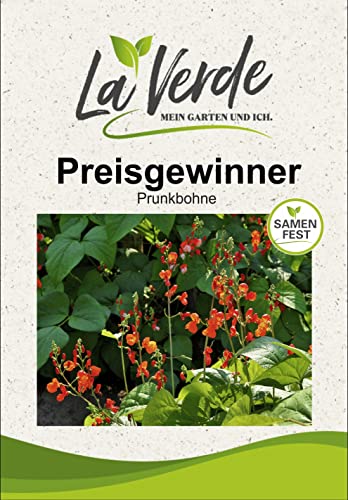 Prunkbohne Preisgewinner Bohnensamen von La Verde MEIN GARTEN UND ICH.