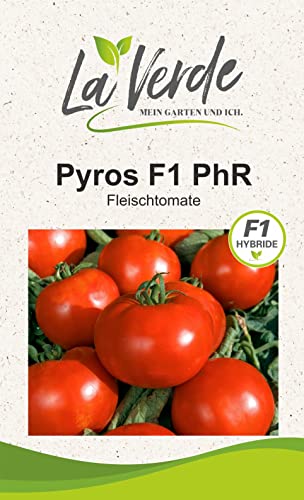 Pyros F1 PhR Tomatensamen von La Verde MEIN GARTEN UND ICH.