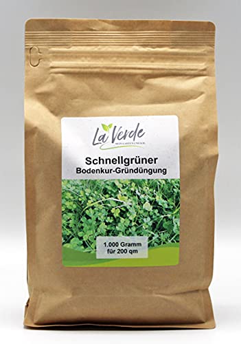 Schnellgrüner 1000 Gramm Bodenkur/Samenmischung von La Verde MEIN GARTEN UND ICH.