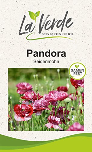 Seidenmohn Pandora Blumensamen von La Verde MEIN GARTEN UND ICH.