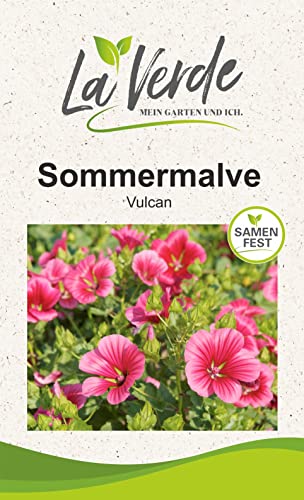 Sommermalve Vulcan pink Blumensamen von La Verde MEIN GARTEN UND ICH.