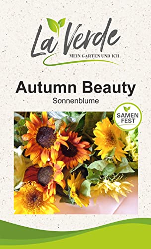 Sonnenblume Autumn Beauty Blumensamen Orange Sonnenblume Autumn Beauty Blumensamen Orange von La Verde MEIN GARTEN UND ICH.