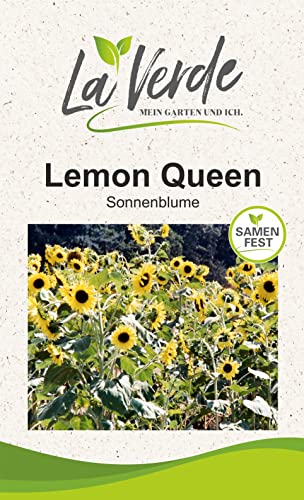 Sonnenblume Lemon Queen Blumensamen von La Verde MEIN GARTEN UND ICH.