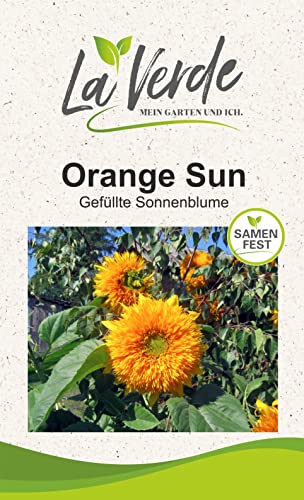 Sonnenblume Orange Sun Blumensamen von La Verde MEIN GARTEN UND ICH.