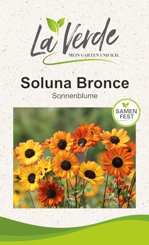 Sonnenblume Soluna Bronce Blumensamen von La Verde MEIN GARTEN UND ICH.