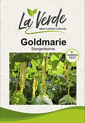 Stangenbohne Goldmarie Bohnensamen von La Verde MEIN GARTEN UND ICH.