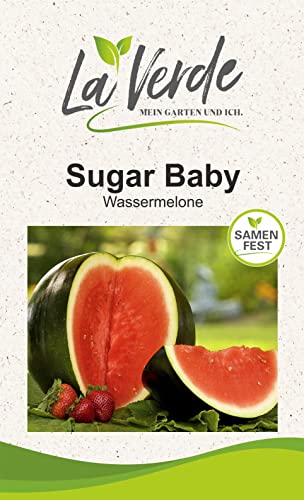 Sugar Baby Melonensamen von La Verde MEIN GARTEN UND ICH.