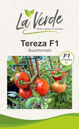 Tereza F1 Tomatensamen von La Verde MEIN GARTEN UND ICH.