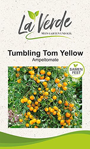 Tumbling Tom Yellow Tomatensamen von La Verde MEIN GARTEN UND ICH.