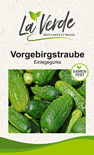 Vorgebirgstrauben Gurkensamen von La Verde MEIN GARTEN UND ICH.