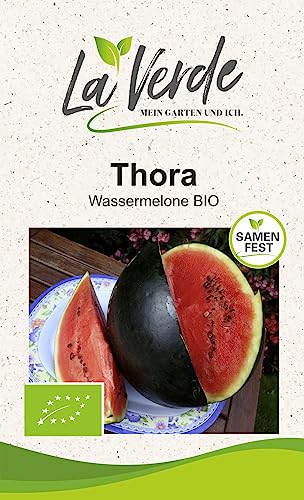 Wassermelone Thora BIO Melonensamen von La Verde MEIN GARTEN UND ICH.