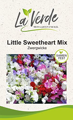 Wicke Little Sweetheart Mix Blumensamen von La Verde MEIN GARTEN UND ICH.