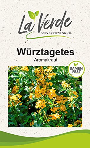 Würztagetes Kräutersamen von La Verde MEIN GARTEN UND ICH.