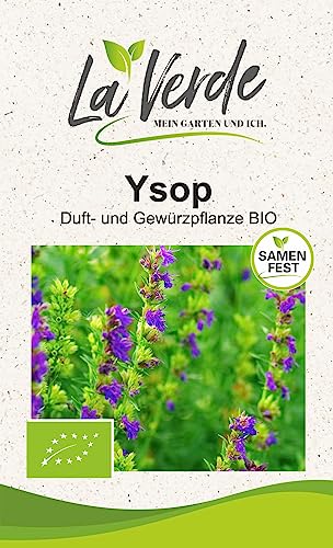 Ysop BIO Kräutersamen von La Verde MEIN GARTEN UND ICH.