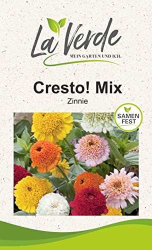 Zinnia Cresto! Mix Blumensamen von La Verde MEIN GARTEN UND ICH.