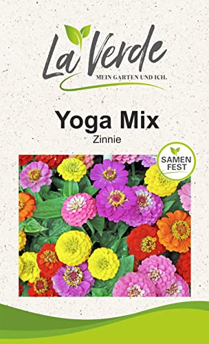 Zinnia Yoga Mix Blumensamen von La Verde MEIN GARTEN UND ICH.