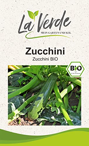 Zucchini BIO Zucchinisamen von La Verde MEIN GARTEN UND ICH.