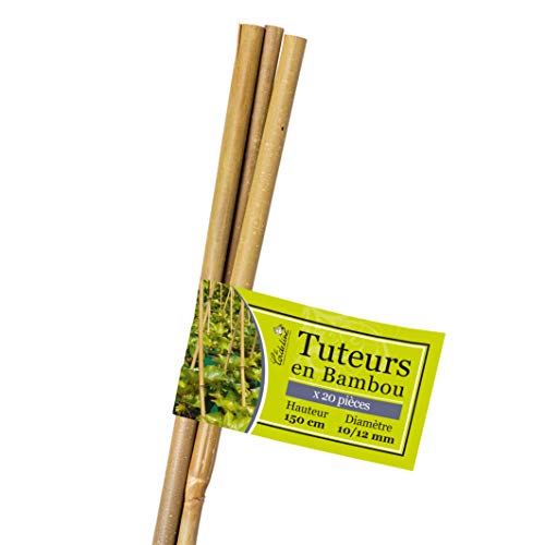 La Cordeline LTB150-20 20 Stück Bambus-Rankhilfe, Länge 150 cm, Durchmesser 10/12 mm von La cordeline