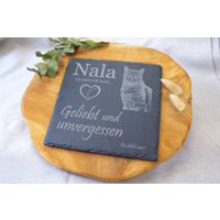 Gedenktafel Haustiergrab Personalisiert Katzen-Hundegrab Tiergrabstein Gravierte Schiefertafel Fotogravur Wunschspruch Datum 20x20cm von LaBiGra
