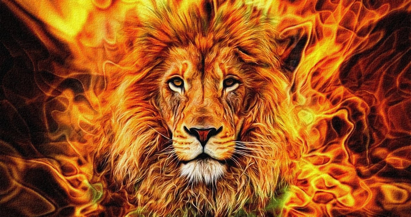 LaCute Malen nach Zahlen XL 5d Diamond Painting Feuer Löwe Malen nach Zahlen 50x65cm (Komplettset für 5D Diamond Painting inklusive Leinwand, Diamanten und Werkzeugen, Diamond Painting Set mit Zubehör für DIY-Kreativität und Entspannung), 50x65cm 5D Diamond Painting mit präziser Klebeschicht & Zubehör LaCute Malen nach Zahlen XL 5d Diamond Painting Feuer Löwe Malen nach Zahlen 50x65cm (Komplettset für 5D Diamond Painting inklusive Leinwand, Diamanten und Werkzeugen, Diamond Painting Set mit Zubehör für DIY-Kreativität und Entspannung), 50x65cm 5D Diamond Painting mit präziser Klebeschicht & Zubehör von LaCute