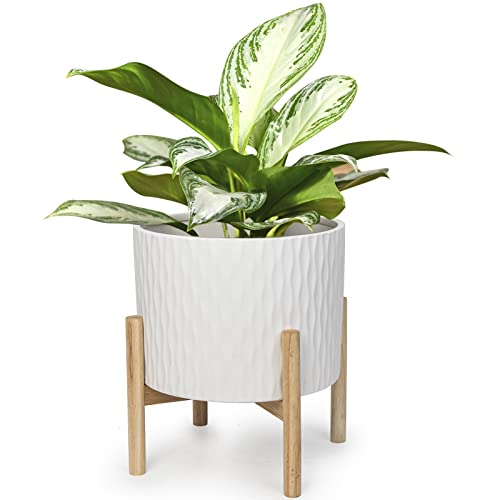 LaDoVita Keramik Blumentopf mit Ständer, 10 Zoll Übertopf mit Holzregal, Moderne Runde Blumentöpfe Innen mit Holz Pflanzgefäßhalter, Weißes Wasser Ripple Muster LaDoVita Keramik Blumentopf mit Ständer, 10 Zoll Übertopf mit Holzregal, Moderne Runde Blumentöpfe Innen mit Holz Pflanzgefäßhalter, Weißes Wasser Ripple Muster von LaDoVita