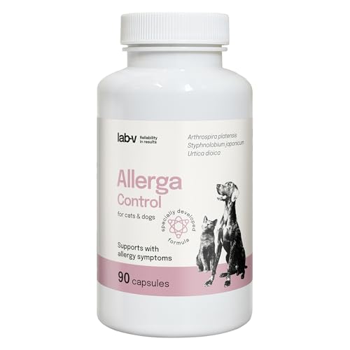 Lab-V Allerga Control für Hunde und Katzen – Ergänzungsfuttermittel bei allergiebedingten Hautreaktionen – 90 Kapseln – ohne künstliche Zusatzstoffe – täglich anwendbar Lab-V Allerga Control für Hunde und Katzen – Ergänzungsfuttermittel bei allergiebedingten Hautreaktionen – 90 Kapseln – ohne künstliche Zusatzstoffe – täglich anwendbar von Lab-V