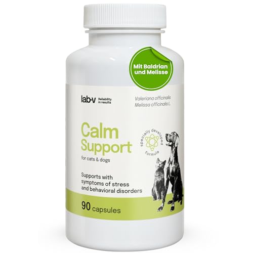 Lab-V Calm Support für Hunde und Katzen – Ergänzungsfuttermittel zur Unterstützung bei Stress und Unruhe – 90 Kapseln – ohne künstliche Zusatzstoffe – täglich anwendbar Lab-V Calm Support für Hunde und Katzen – Ergänzungsfuttermittel zur Unterstützung bei Stress und Unruhe – 90 Kapseln – ohne künstliche Zusatzstoffe – täglich anwendbar von Lab-V