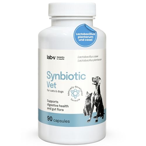 Lab-V Synbiotic Vet für Hunde und Katzen – Ergänzungsfuttermittel zur Unterstützung von Verdauung und Darmflora – 90 Kapseln – mit Probiotika & Präbiotika – ohne Zusatzstoffe von Lab-V