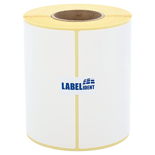 Versandetiketten DPD - 110 x 162 mm - 200 Thermo-Eco Papier Etiketten auf 1 Rolle(n) mit 40 mm Kern, Thermodirekt Etiketten selbstklebend, Trägerperfo. von Labelident