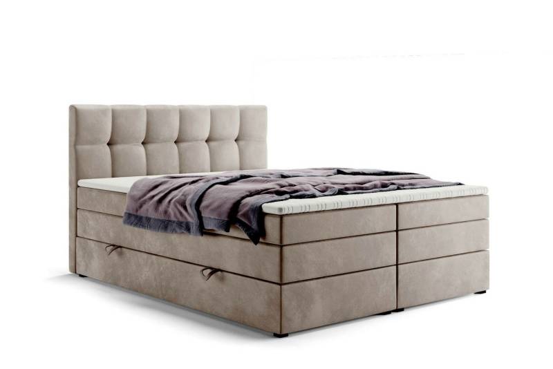 Labett Boxspringbett mit Bettkasten Doppelmatratze ALVIN KING 160x200 180x200 200x200 (2 Bettkästen, Topper), Bonellfederkern- und Taschenfederkernmatratze von Labett