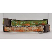 All Year Long I Dream Of Herbst Hundehalsband Thanksgiving Fallis in The Air von LabradorableCollars