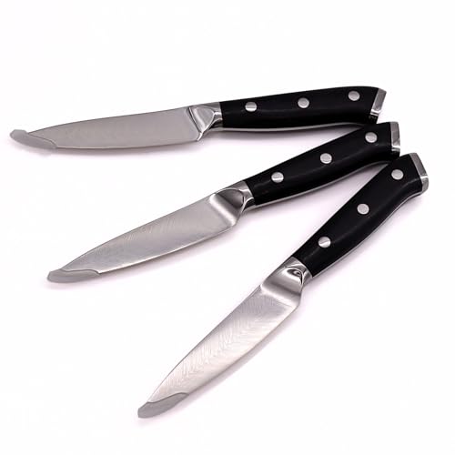 Lacers PurpleLine 3er Set Schälmesser 3.5 Zoll – Profi Küchenmesser mit scharfer 7Cr17 Edelstahl Klinge & edlem Pakkaholz Griff – Obst Gemüsemesser Set für Küche & Haushalt von Lacers