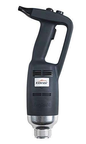 Lacor 69736 Schneebesen mit Motor für Profesional Serie Variable 350 W, Kunststoff von LACOR