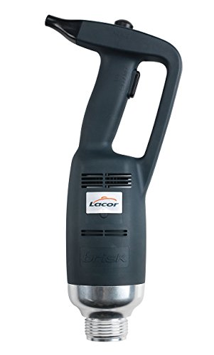 LACOR 69750 Motorkopf Kopf mit Motor für professionelle Schneebesen, feste Serie mit 500 W, 18/8 Edelstahl von LACOR