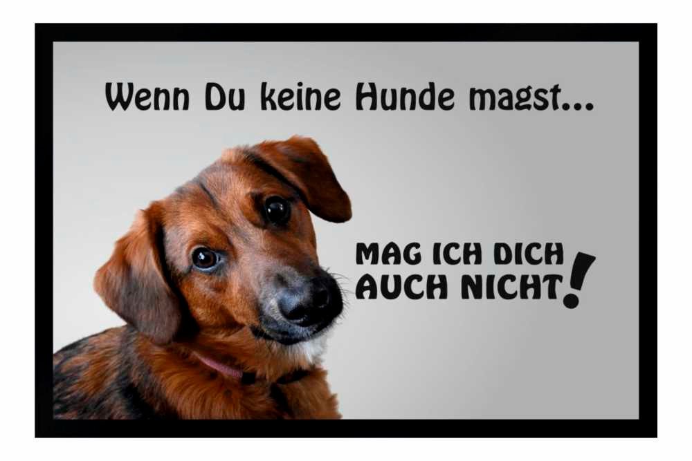 Fußmatte Schmutzfangmatte Wenn Du keine Hunde magst F1098, Ladreas, 60x40 von Ladreas