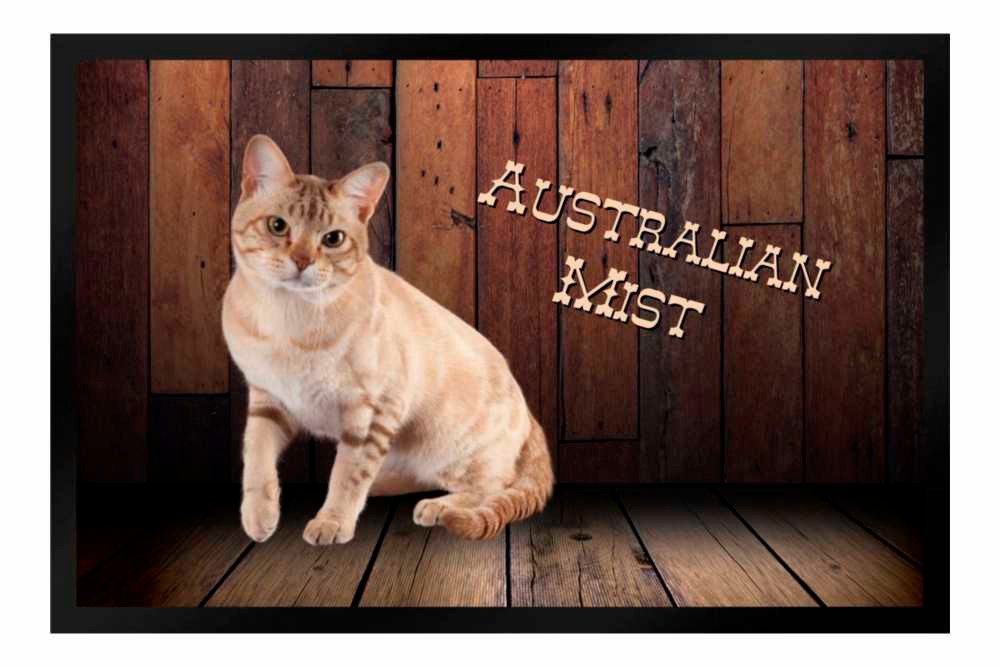 Fußmatte Schmutzfangmatte Katze Rassekatze Australian Mist F1207, Ladreas, 60x40 von Ladreas