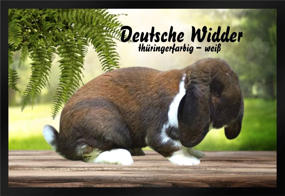 Fußmatte Schmutzfangmatte Kaninchen Dt.Widder thüringerfarbig-weiß F902, Ladreas, 60x40 von Ladreas