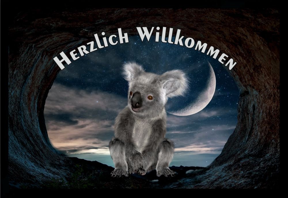 Fußmatte Schmutzfangmatte Herzlich Willkommen Mond Koala F1029, Ladreas, 60x40 von Ladreas