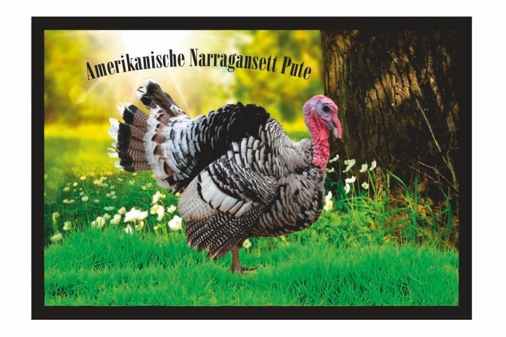 Fußmatte Schmutzfangmatte Pute Amerikanische Narragansett Pute F2371, Ladreas, 60x40 von Ladreas